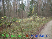 Bild zum Eintrag (1038465-177)