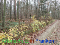 Bild zum Eintrag (1038467-177)