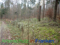 Bild zum Eintrag (1038469-177)