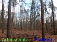 Bild zum Eintrag (1038824-177)