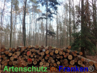 Bild zum Eintrag (1038826-177)