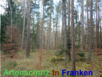 Bild zum Eintrag (1038830-177)