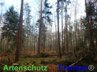 Bild zum Eintrag (1038831-177)