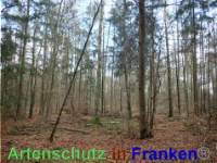 Bild zum Eintrag (1038833-177)