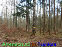 Bild zum Eintrag (1038834-177)