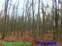 Bild zum Eintrag (1038835-177)