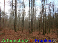 Bild zum Eintrag (1038836-177)