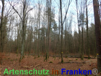 Bild zum Eintrag (1038837-177)