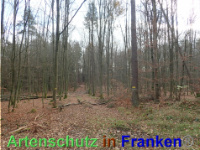 Bild zum Eintrag (1038838-177)