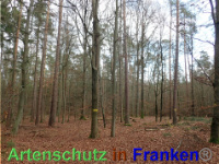 Bild zum Eintrag (1038839-177)