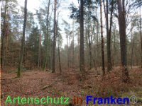 Bild zum Eintrag (1038840-177)