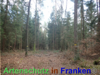 Bild zum Eintrag (1038841-177)