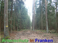 Bild zum Eintrag (1038842-177)