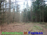 Bild zum Eintrag (1038844-177)