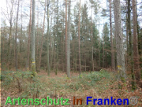 Bild zum Eintrag (1038846-177)