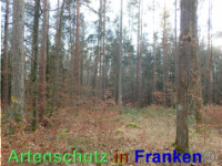 Bild zum Eintrag (1038847-177)