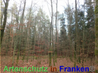 Bild zum Eintrag (1038848-177)