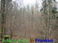 Bild zum Eintrag (1038849-177)