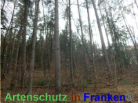 Bild zum Eintrag (1038850-177)