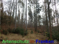 Bild zum Eintrag (1038851-177)