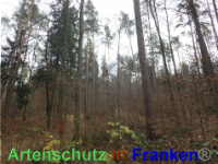 Bild zum Eintrag (1038853-177)