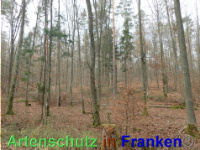 Bild zum Eintrag (1038855-177)