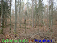 Bild zum Eintrag (1038858-177)