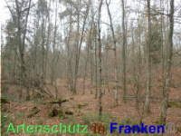 Bild zum Eintrag (1038860-177)