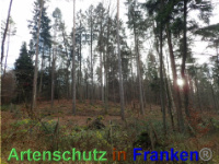 Bild zum Eintrag (1038862-177)