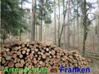 Bild zum Eintrag (1038863-177)