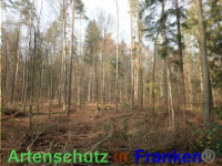 Bild zum Eintrag (1038864-177)