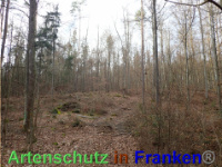 Bild zum Eintrag (1038865-177)