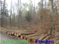 Bild zum Eintrag (1038867-177)