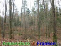 Bild zum Eintrag (1038869-177)