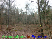 Bild zum Eintrag (1038870-177)