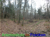 Bild zum Eintrag (1038871-177)