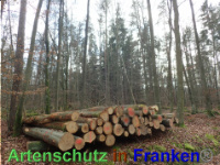 Bild zum Eintrag (1038872-177)