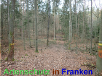 Bild zum Eintrag (1038873-177)