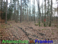 Bild zum Eintrag (1038874-177)