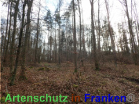 Bild zum Eintrag (1038875-177)