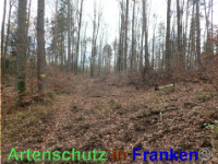 Bild zum Eintrag (1038877-177)