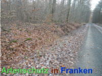 Bild zum Eintrag (1039041-177)