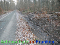 Bild zum Eintrag (1039044-177)