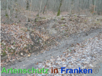 Bild zum Eintrag (1039049-177)