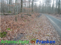 Bild zum Eintrag (1039054-177)