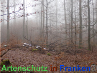 Bild zum Eintrag (1039894-177)