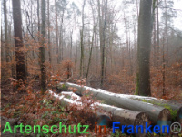 Bild zum Eintrag (1039898-177)