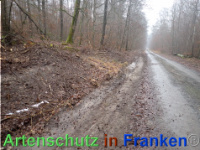 Bild zum Eintrag (1039925-177)