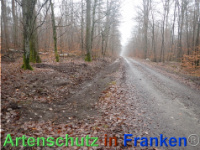 Bild zum Eintrag (1039926-177)