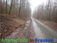 Bild zum Eintrag (1039927-177)